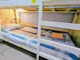 Многоместный смешанный номер 6-х местный общий