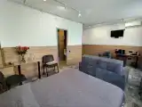 Двухместный номер с 1 кроватью студия