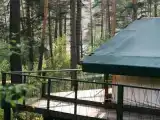 Дом тентхаус с видом на лес