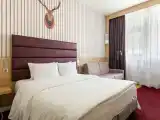 Двухместный номер с 1 кроватью стандарт с видом на лес