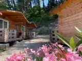 Двухместный номер с 1 кроватью стандарт