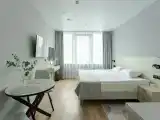 Двухместный номер с 1 кроватью стандарт double с кухней