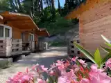 Трёхместный номер стандарт