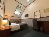 Двухместный номер с 1 кроватью эконом с мансардным окном