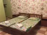 Комната Стандартный номер с индивидуальной террасой