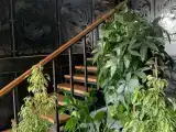Трёхместный номер стандарт