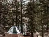 Типи типпи