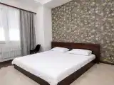 Двухместный номер с 1 кроватью N2