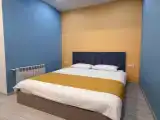 Двухместный номер с 1 кроватью эконом