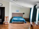 Двухместный номер с 1 кроватью № 11 Студия