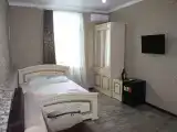 Двухместный номер с 1 кроватью стандарт +2
