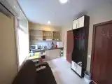 Семейный номер студия с 1 двуспальной кроватью и диваном