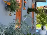 Двухместный номер с 1 кроватью стандарт с видом на город