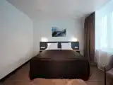 Двухместный номер с 1 кроватью делюкс