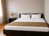 Двухместный номер с 1 кроватью с дополнительным местом