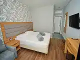 Двухместный номер с 1 кроватью люкс