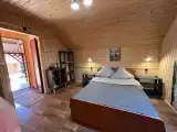 Двухместный номер с 1 кроватью стандарт с видом на лес