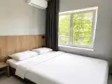 Двухместный номер с 1 кроватью стандарт без балкона