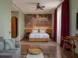 Двухместный номер с 1 кроватью Suite with Terrace