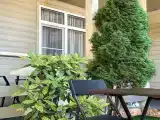 Четырёхместный номер люкс