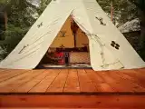 Типи Модного индейца