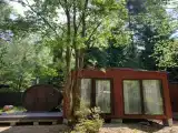 Двухместный номер с 1 кроватью стандарт с видом на лес