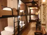 Многоместный женский номер капсула Divo женская нижняя