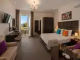 Двухместный номер с 1 кроватью стандарт с видом на город