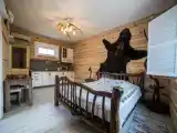 Двухместный номер с 1 кроватью Студио