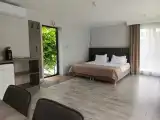 Двухместный номер с 1 кроватью Делюкс двухместный без балкона