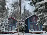 Барнхаус в лесу с голубой гостиной