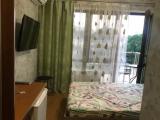 Двухместный номер с 1 кроватью стандарт с видом на город