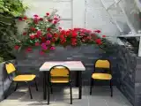Семейный номер стандарт