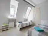 Двухместный с 2 отдельными кроватями на мансарде с видом на крыши Питера.