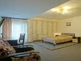 Двухместный номер с 1 кроватью люкс