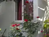 Трёхместный номер Домик для отпуска 1этаж