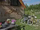 Апартаменты 1Б