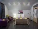 Двухместный номер с 1 кроватью Двухместный Люкс