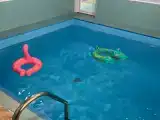 Бассейн в домике шале с сауной и мангалом
