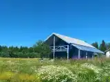 Коттедж на берегу Финского залива
