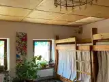 Многоместный смешанный номер эконом (душ/туалет общий)