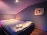 Двухместный номер с 1 кроватью  с кроватью-подиумом