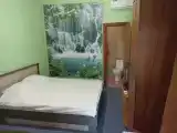 Двухместный номер с 1 кроватью люкс