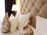 Двухместный номер с 1 кроватью люкс