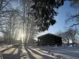 Дом в лесу