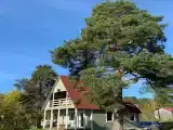 Домик на берегу залива Ладожского озера
