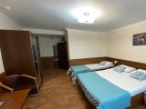 Двухместный номер с 1 кроватью стандартный с дополнительным местом