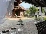 Лесная сказка