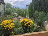 Дача у моря