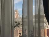 Петербургская квартира в самом сердце города